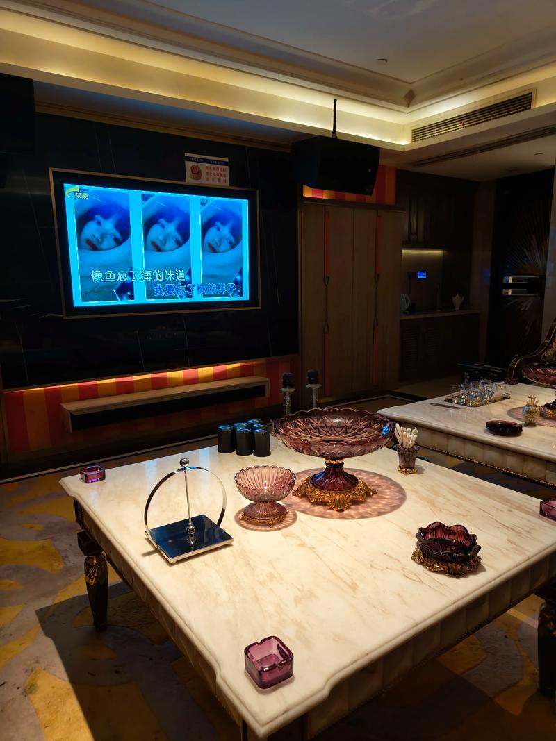 无锡商务ktv多少钱一个小时？-锡山区ktv预定